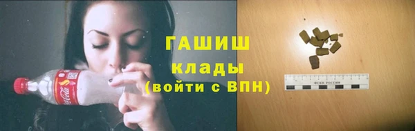 PSILOCYBIN Покачи