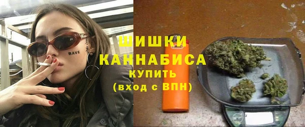 PSILOCYBIN Покачи